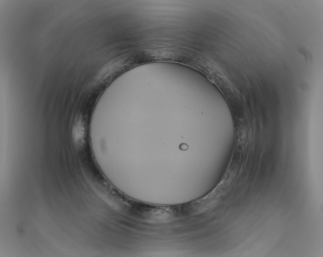 X0000110970124200907101356