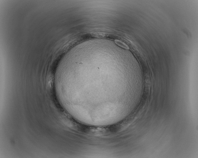 X0000110970125200907101356