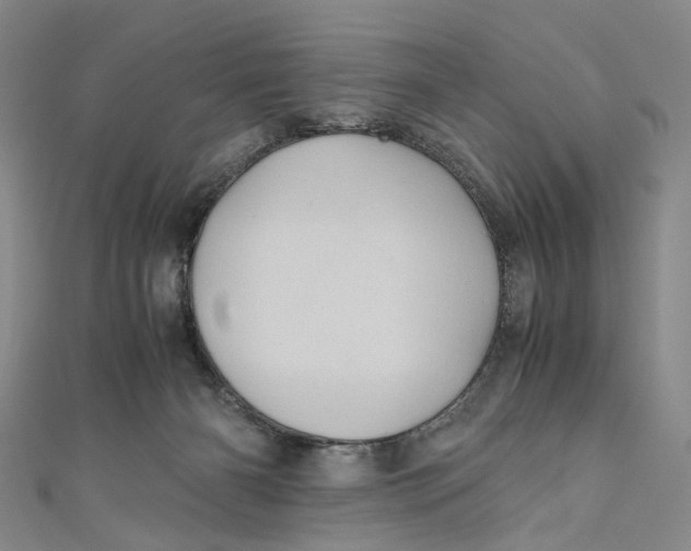 X0000110970126200907101356
