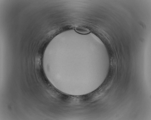 X0000110970127200907101356