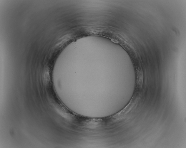 X0000110970128200907101356
