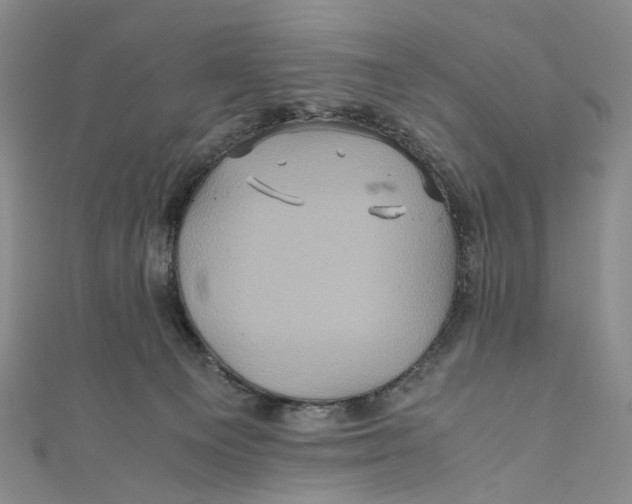 X0000110970129200907101356