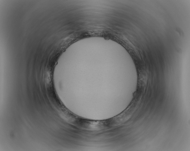 X0000110970130200907101356