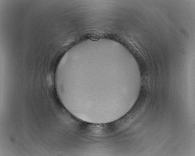 X0000110970131200907101356