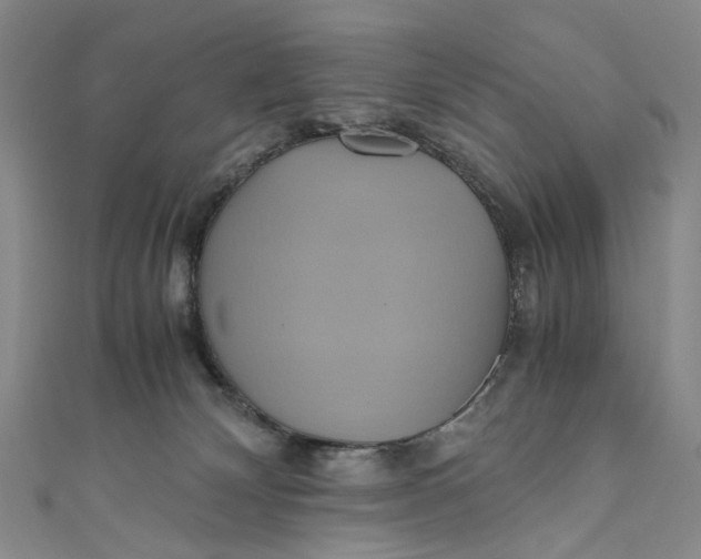 X0000110970132200907101356