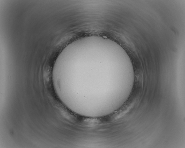 X0000110970133200907101356