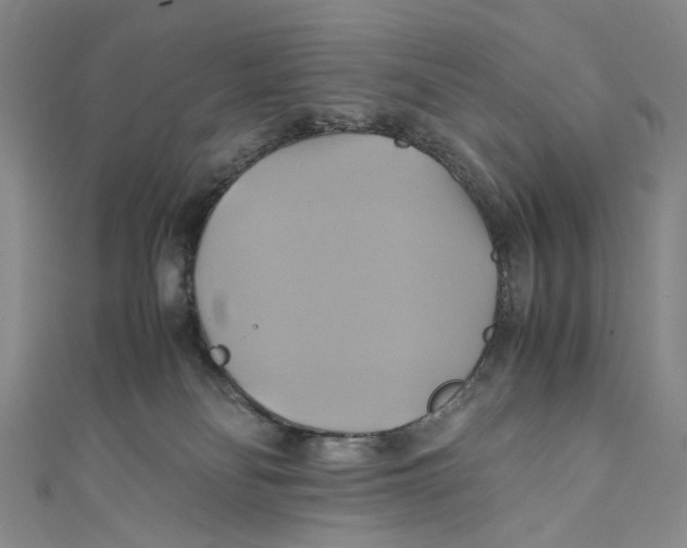 X0000110970134200907101356