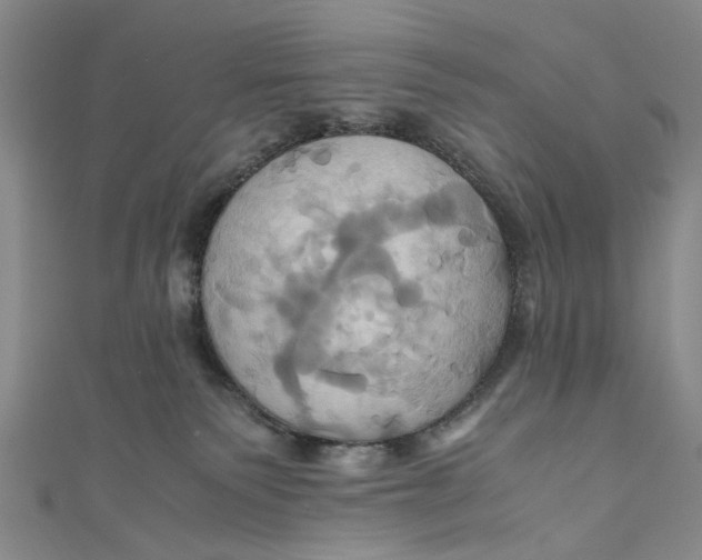 X0000110970135200907101356