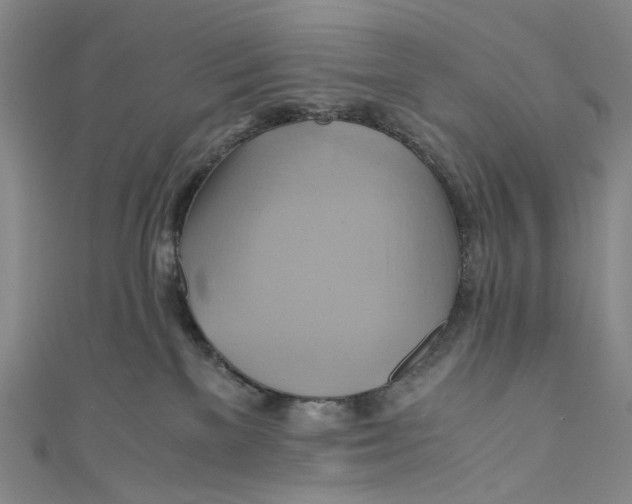 X0000110970137200907101356