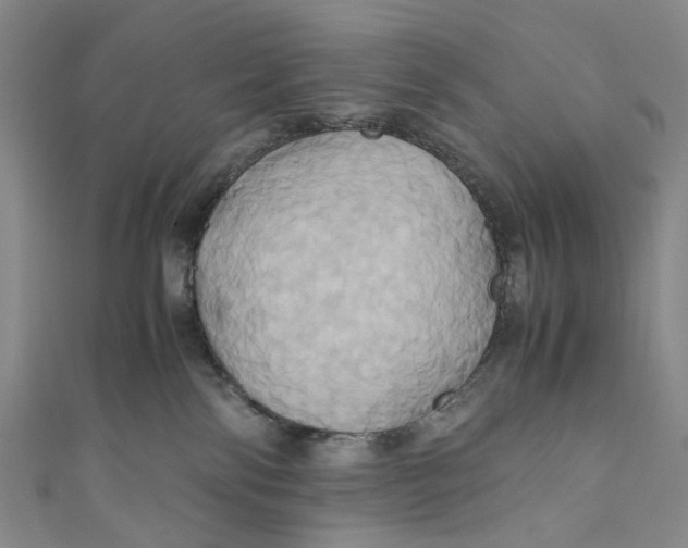 X0000110970138200907101356