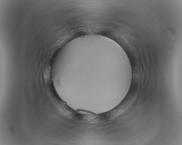 X0000110970139200907101356