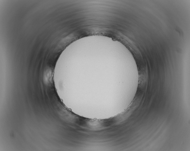 X0000110970142200907101356