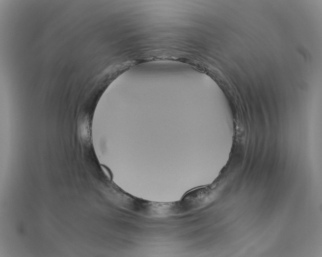 X0000110970143200907101356