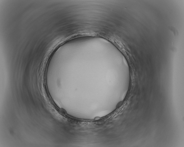X0000110970145200907101355