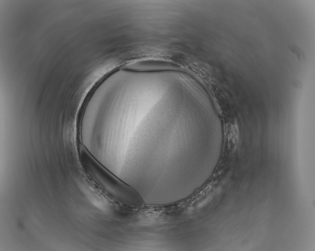 X0000110970148200907101356
