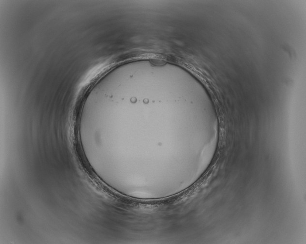 X0000110970149200907101356