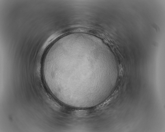 X0000110970150200907101356