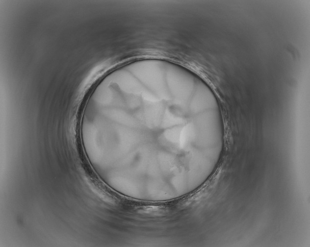 X0000110970151200907101356