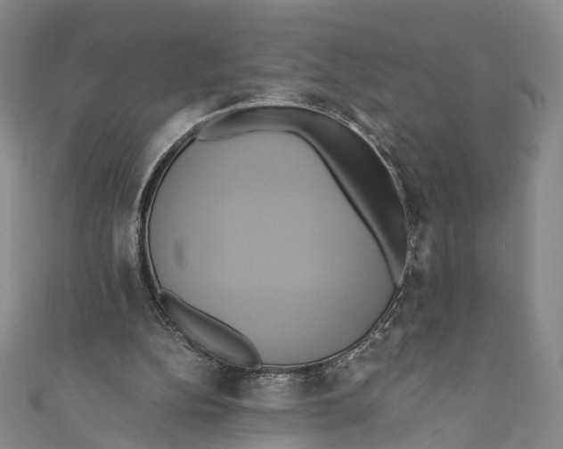 X0000110970152200907101356