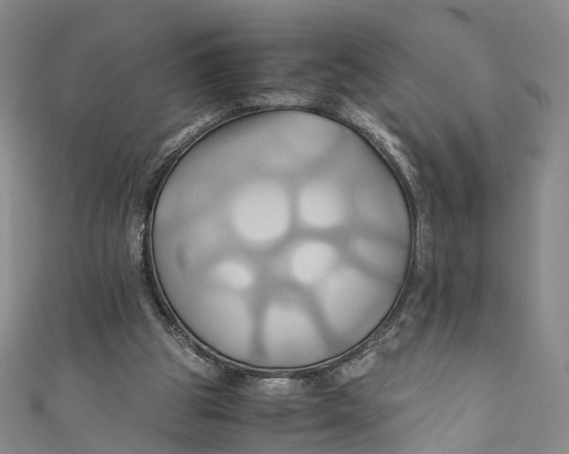 X0000110970153200907101356