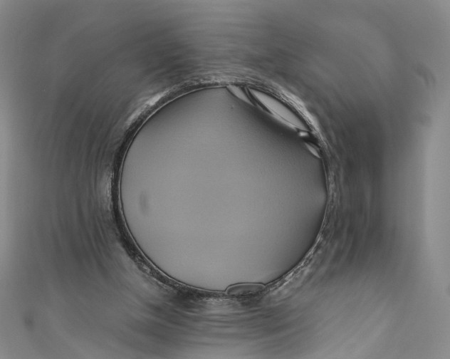 X0000110970154200907101356