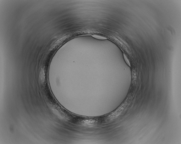 X0000110970158200907101356