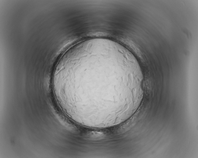 X0000110970159200907101356