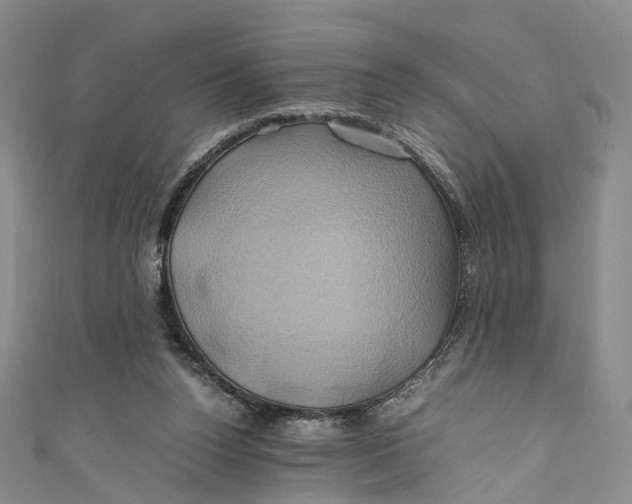 X0000110970160200907101356