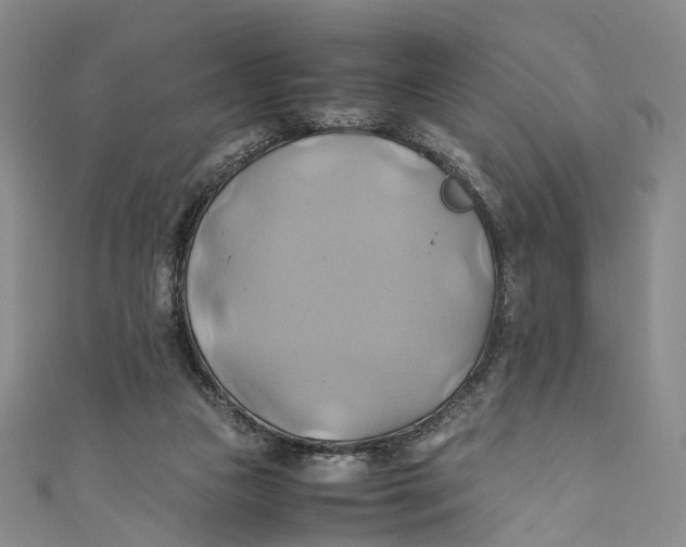 X0000110970161200907101356