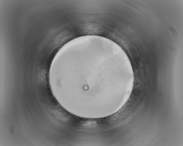 X0000110970162200907101356