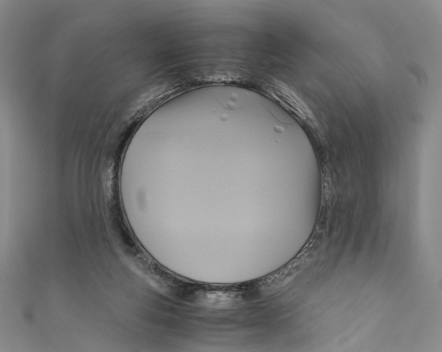 X0000110970163200907101356
