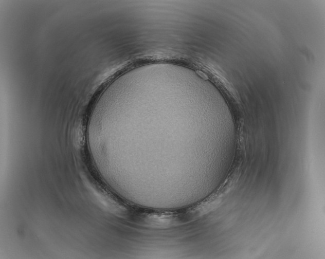 X0000110970164200907101356