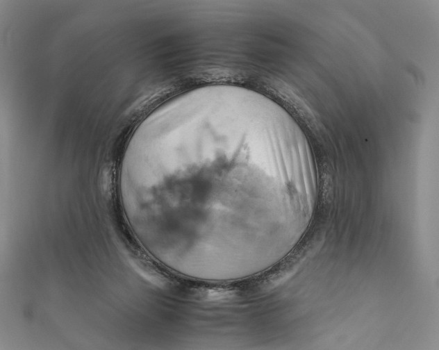 X0000110970165200907101356