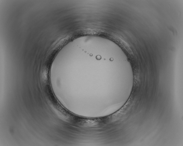 X0000110970166200907101356