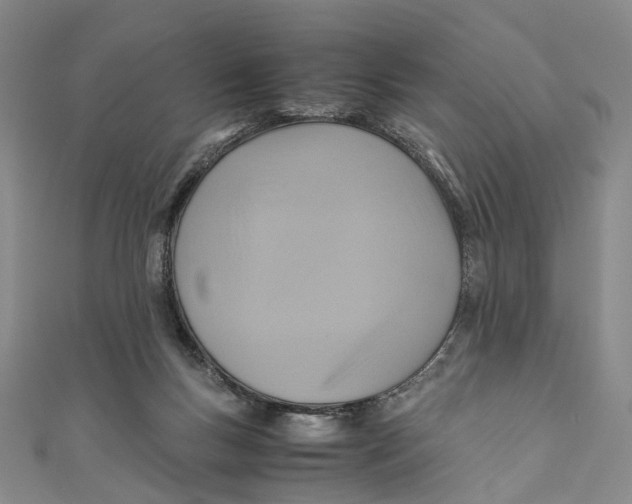 X0000110970167200907101356