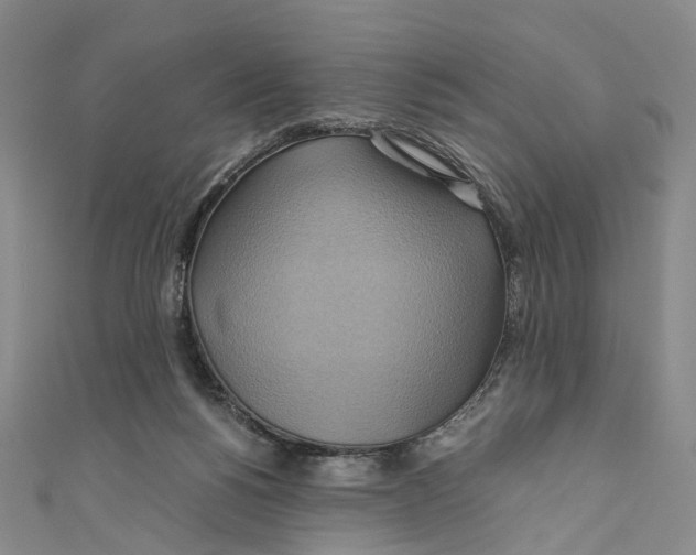 X0000110970168200907101356