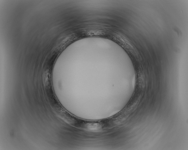 X0000110970169200907101356