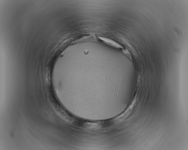 X0000110970170200907101356
