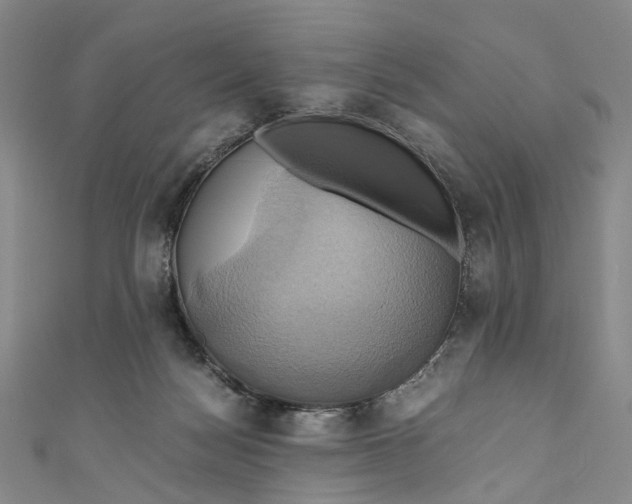 X0000110970172200907101356