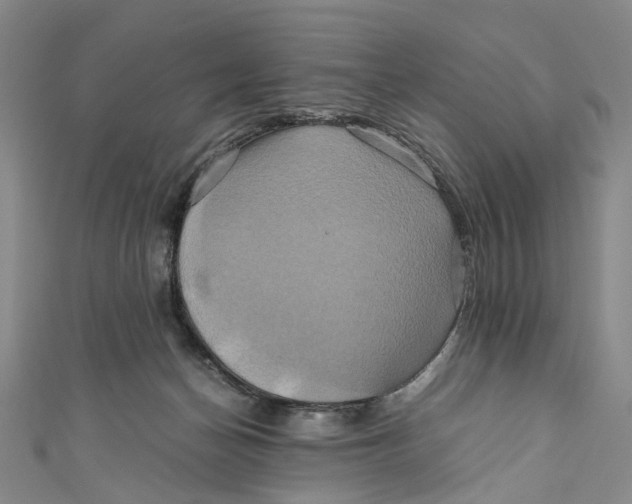 X0000110970174200907101356