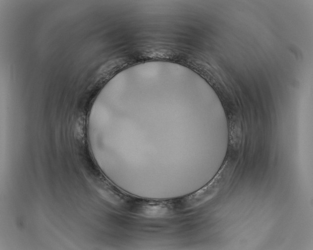 X0000110970175200907101356