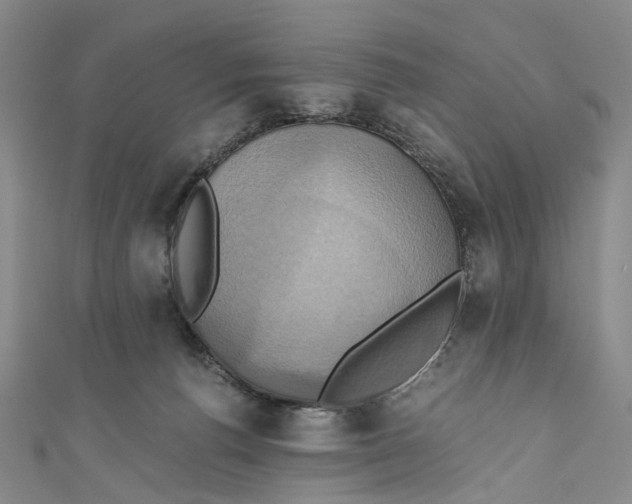X0000110970176200907101356