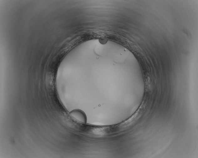 X0000110970178200907101356