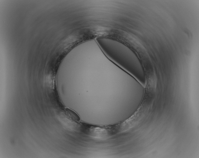 X0000110970180200907101356