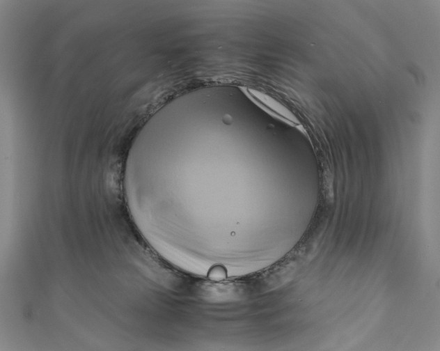 X0000110970181200907101356