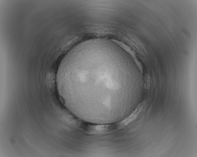 X0000110970184200907101356