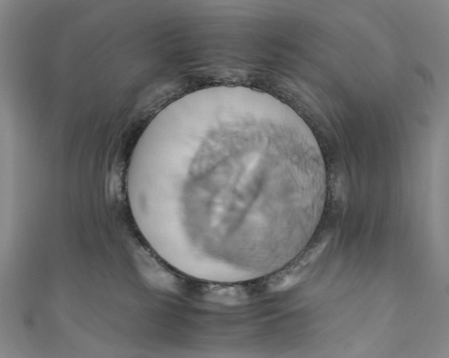 X0000110970185200907101356