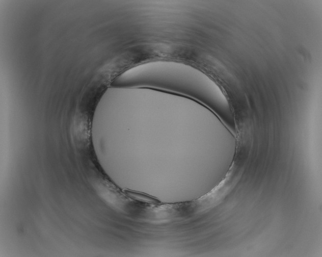 X0000110970186200907101356