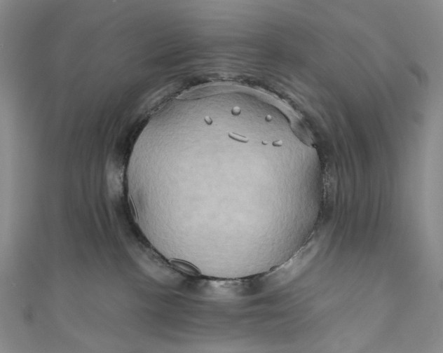 X0000110970188200907101356