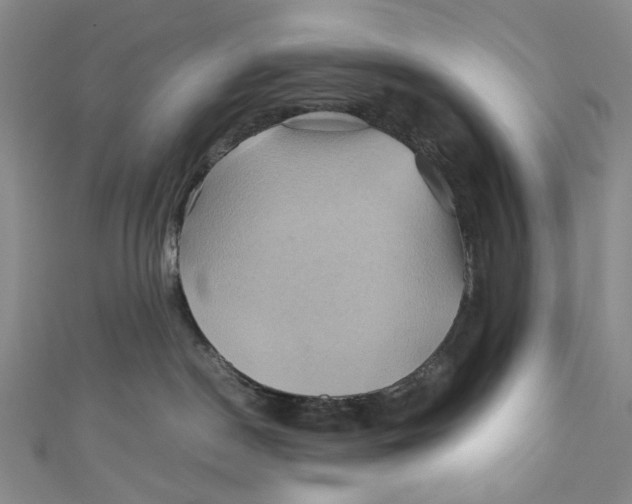 X0000110970190200907101356